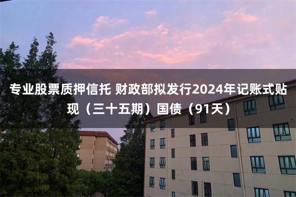 专业股票质押信托 财政部拟发行2024年记账式贴现（三十五期）国债（91天）