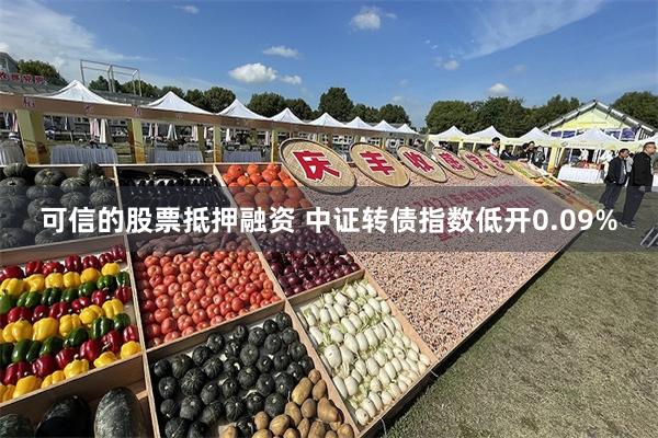 可信的股票抵押融资 中证转债指数低开0.09%