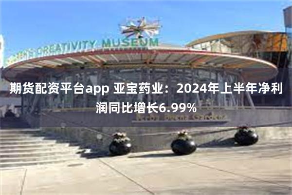 期货配资平台app 亚宝药业：2024年上半年净利润同比增长6.99%