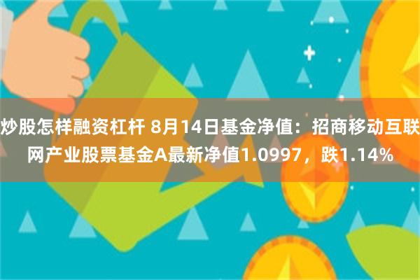 炒股怎样融资杠杆 8月14日基金净值：招商移动互联网产业股票基金A最新净值1.0997，跌1.14%