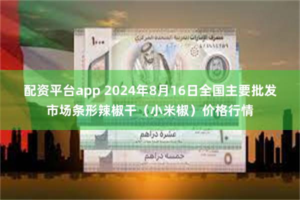 配资平台app 2024年8月16日全国主要批发市场条形辣椒干（小米椒）价格行情