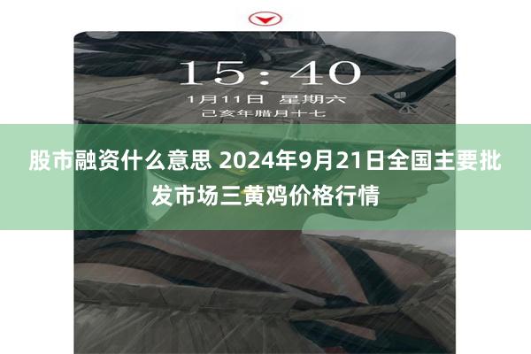 股市融资什么意思 2024年9月21日全国主要批发市场三黄鸡价格行情