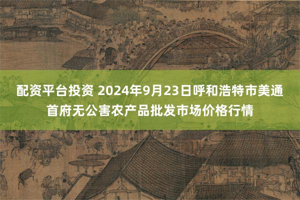 配资平台投资 2024年9月23日呼和浩特市美通首府无公害农产品批发市场价格行情