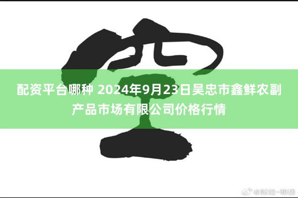 配资平台哪种 2024年9月23日吴忠市鑫鲜农副产品市场有限公司价格行情