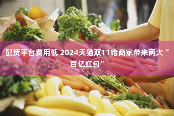 配资平台费用低 2024天猫双11给商家带来两大“百亿红包”