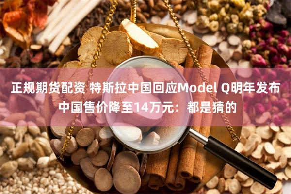 正规期货配资 特斯拉中国回应Model Q明年发布 中国售价降至14万元：都是猜的