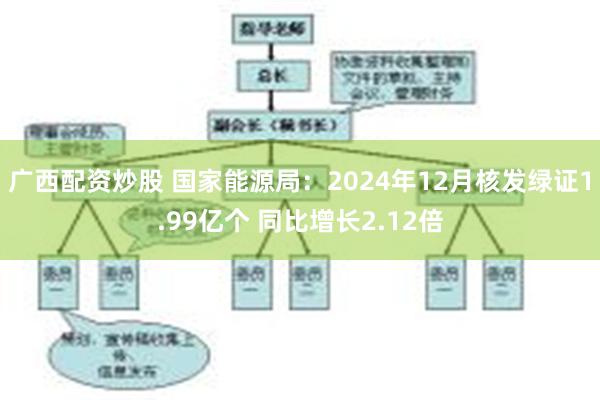 广西配资炒股 国家能源局：2024年12月核发绿证1.99亿个 同比增长2.12倍