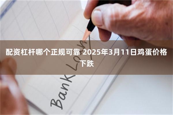 配资杠杆哪个正规可靠 2025年3月11日鸡蛋价格下跌